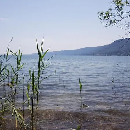 Ferienwohnung Im Gastehaus Adler Albtal Hotel St. Blasien
