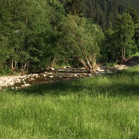 Ferienwohnung Im Gastehaus Adler Albtal Hotel St. Blasien